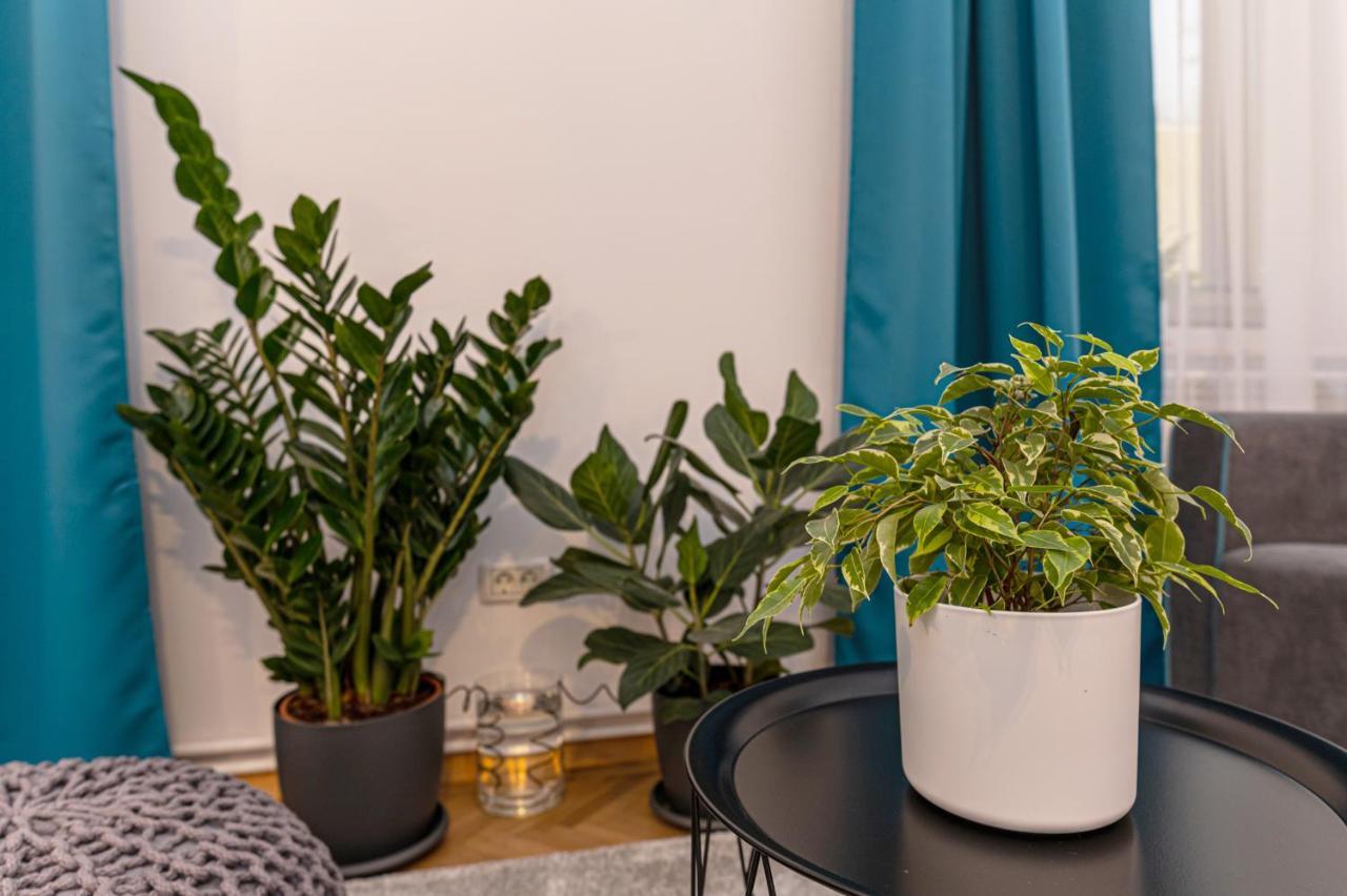 Garden Hideout - Central Apartment براشوف المظهر الخارجي الصورة